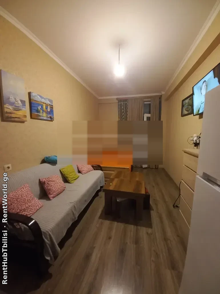 1 ოთახიანი ბინა